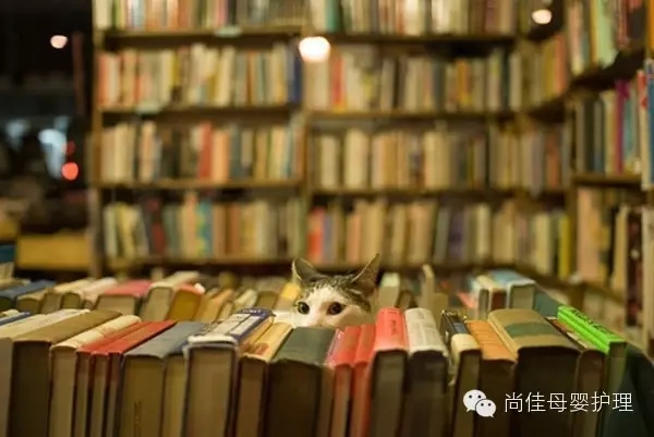 家政服務(wù)員中五大錯誤要點(diǎn)，您中招了嗎？
